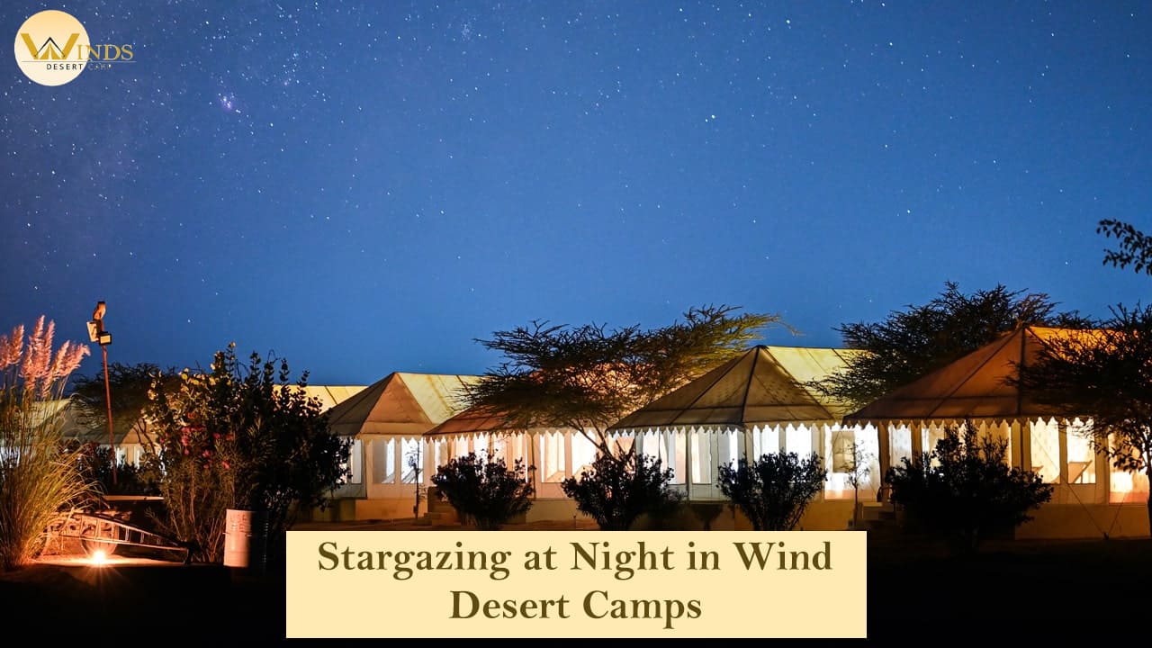 Stargazing at Night in Wind Desert Camps